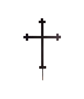 krt6.jpg
